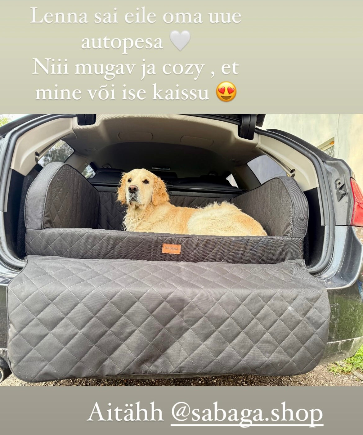 Pagasipesa SabagaBoss