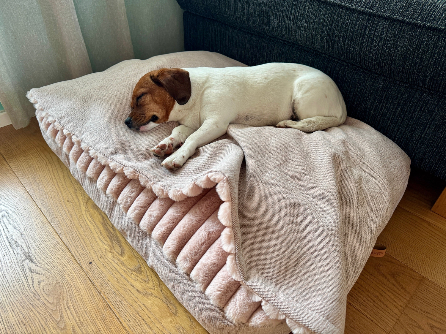 SabagaSleep