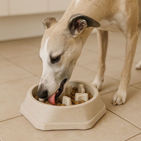 Söögikauss aeglaseks söömiseks 450ml