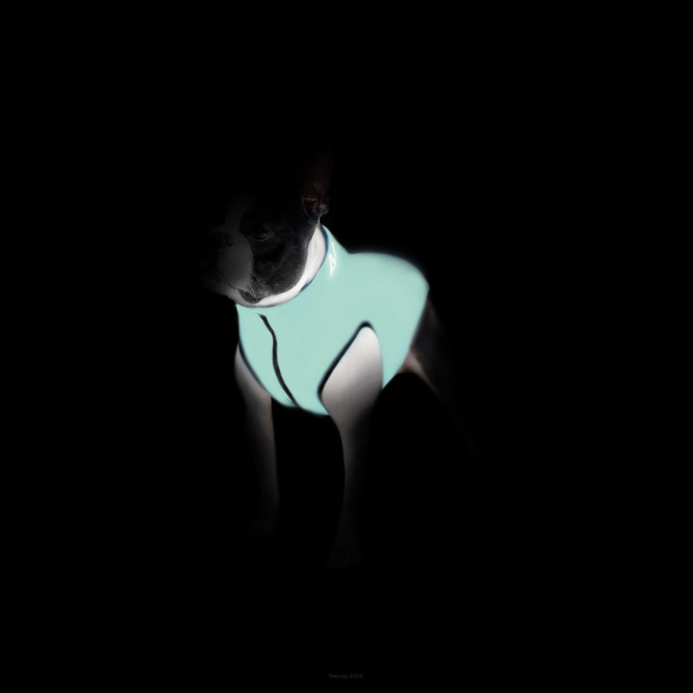 Kahepoolne veekindel koera helkurvest 🟢