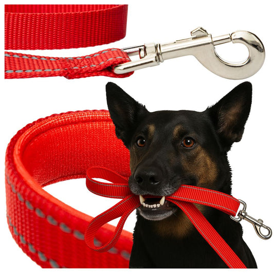 120cm jalutusrihm helkurõmblusega 🟢