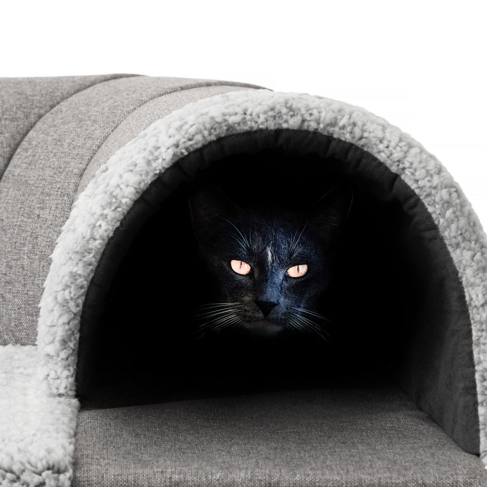 Hide and Sleep tunnel
