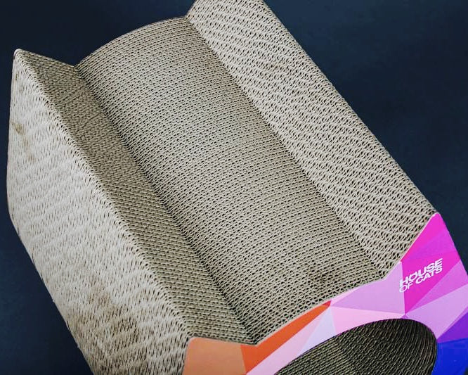 Roheline valik! 🌱 Kassi kraapimismaja Color