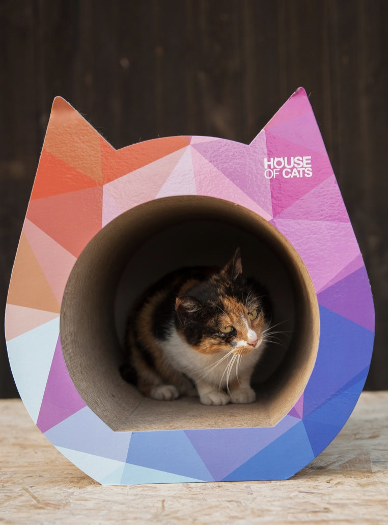 Roheline valik! 🌱 Kassi kraapimismaja Color